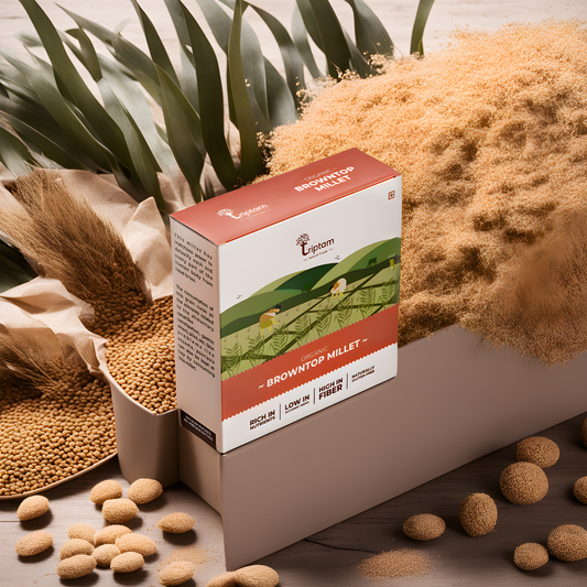 BrownTop Millet: A Super Grain That Packs a Punch